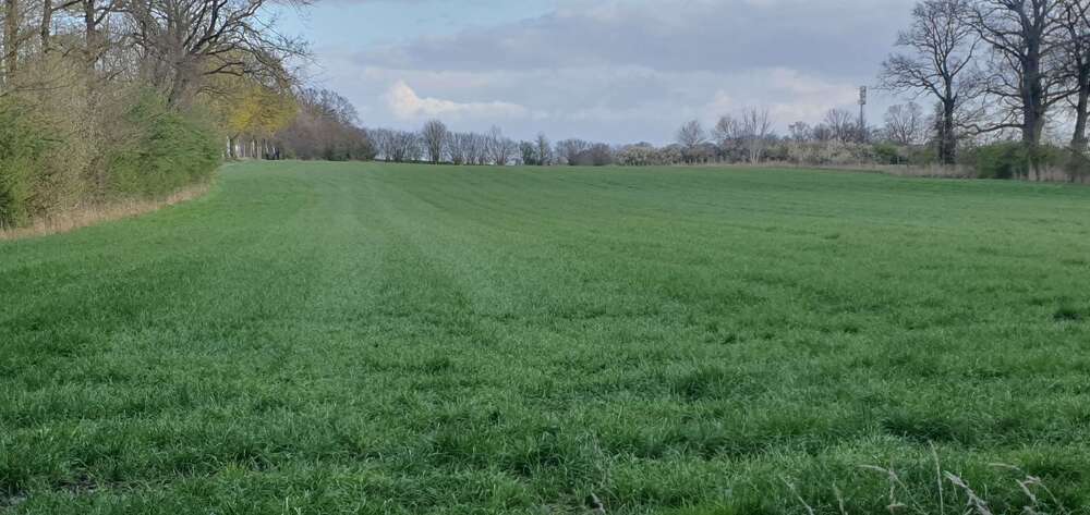 Grundstück Altenberge - 313.794&euro; | Angebot:26026993