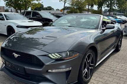 Ford Mustang 95.000 km 23.800 &euro; Schüttorf 48465