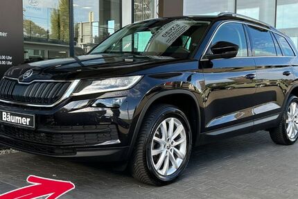 Skoda Kodiaq 110.081 km 23.890 &euro; Ibbenbüren 49479