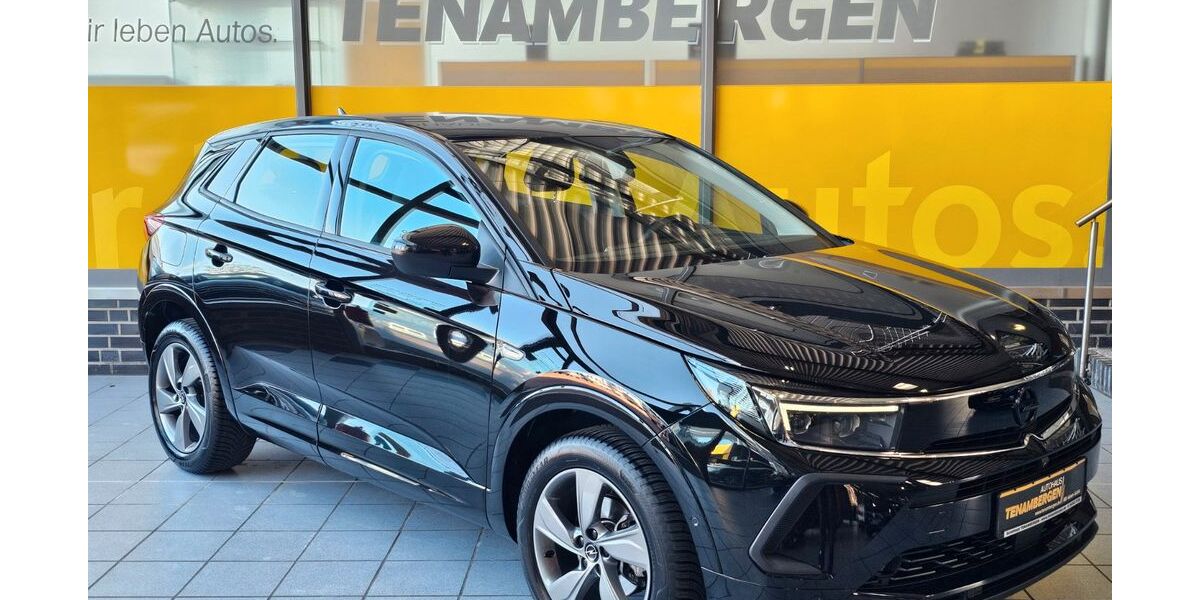 Opel Grandland (X) 24.900 km 25.900 &euro; Mettingen 49497