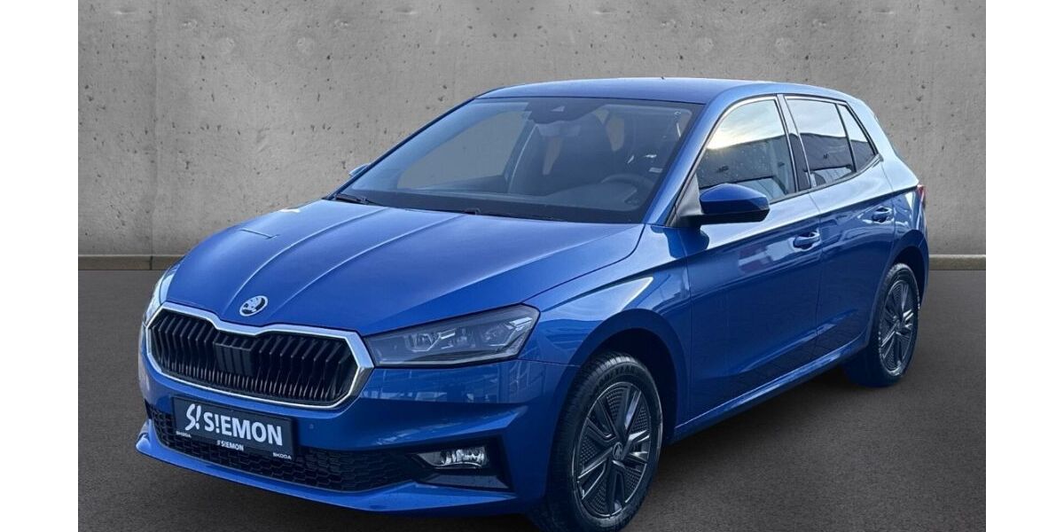 Skoda Fabia 24.621 km 17.930 &euro; Ibbenbüren 49479