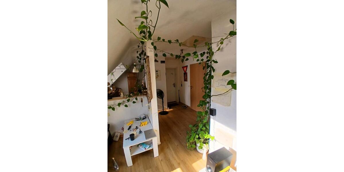 Dachgeschoßwohnung Rheine - 2 Zimmer, 39 m&sup2;, 3.000&euro; | Angebot:26518399