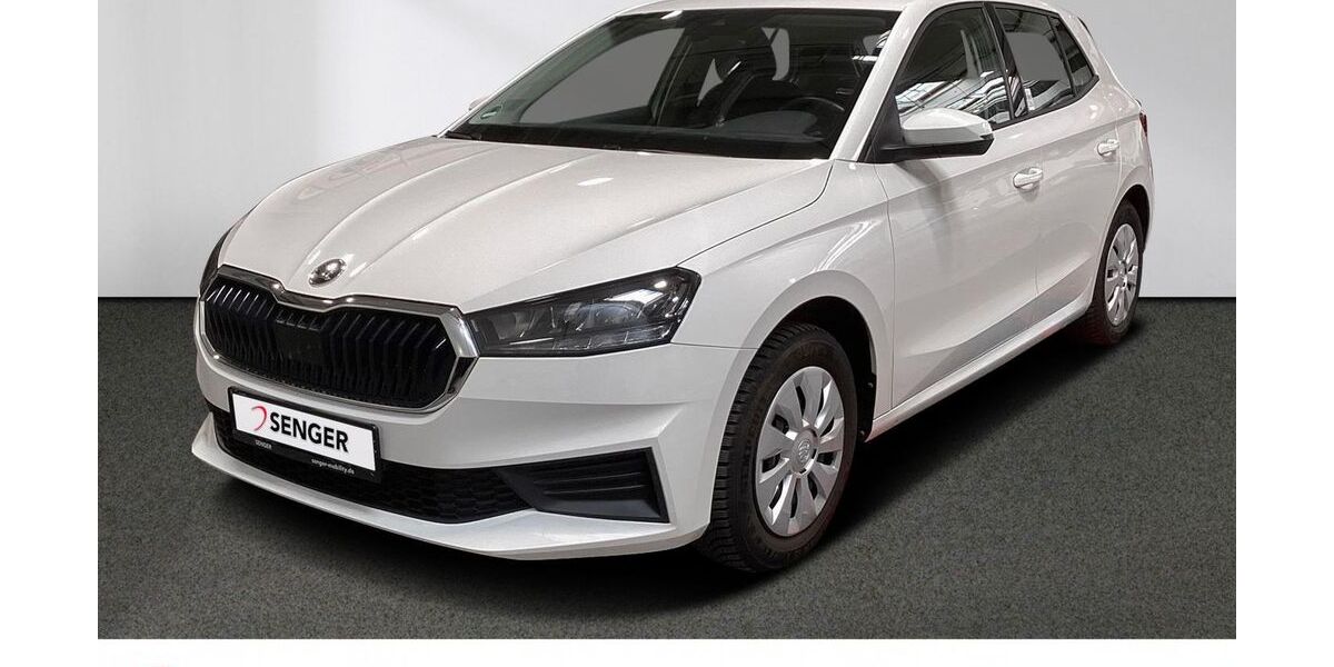 Skoda Fabia 29.480 km 17.480 &euro; Emsdetten 48282