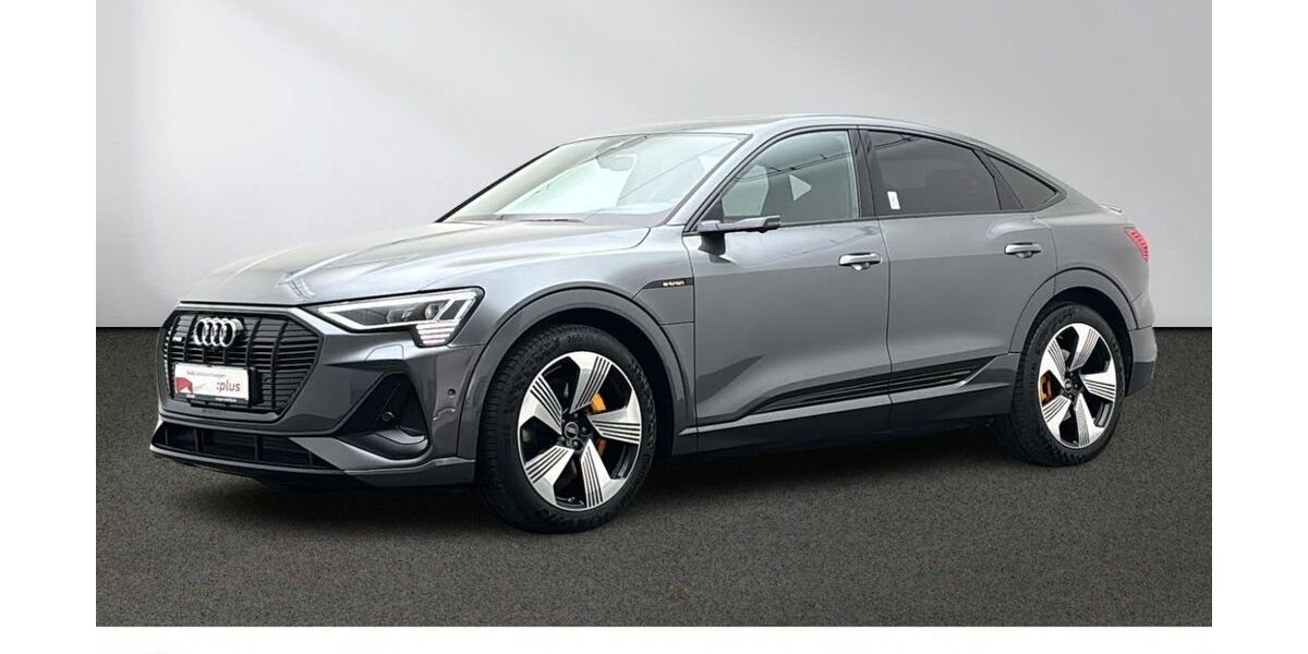 Audi e-tron 51.331 km 35.280 &euro; Lingen 49809