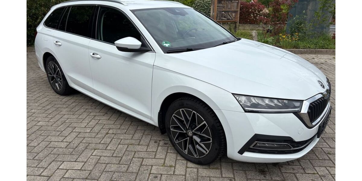 Skoda Octavia 175.000 km 14.900 &euro; Bad Bentheim/Gildehaus 48455