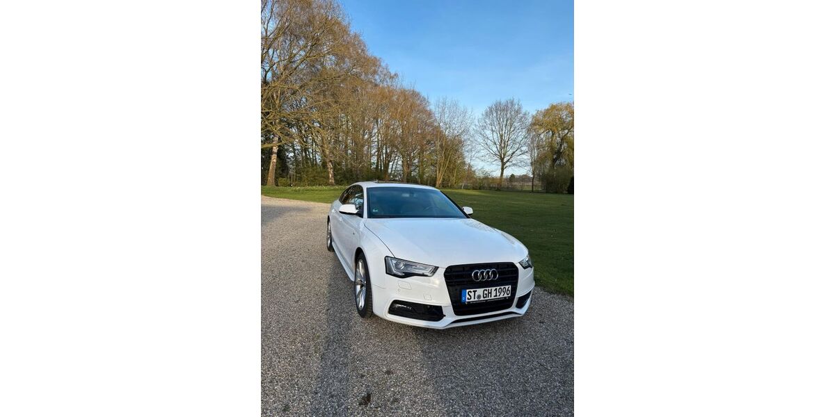 Audi A5 220.460 km 15.500 &euro; Hopsten 48496