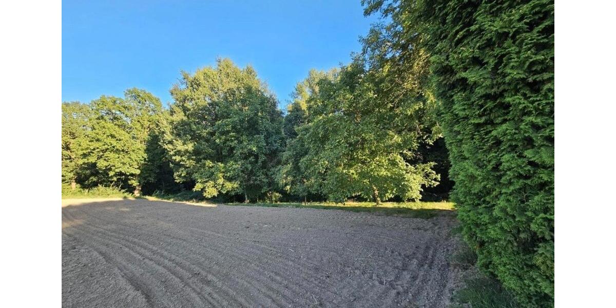 Einfamilienhaus Mettingen - 8 Zimmer, 150 m&sup2;, 449.000&euro; | Angebot:27618029