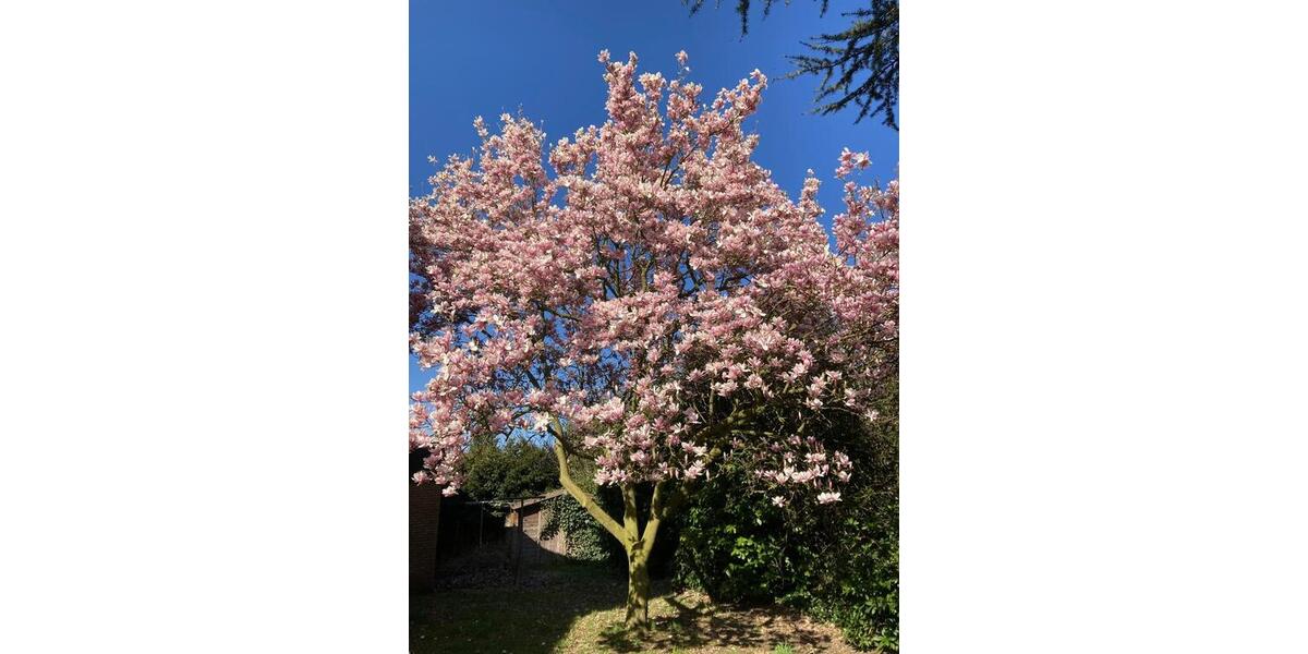 Einfamilienhaus Freren - 7.5 Zimmer, 265 m&sup2;, 399.000&euro; | Angebot:25971777