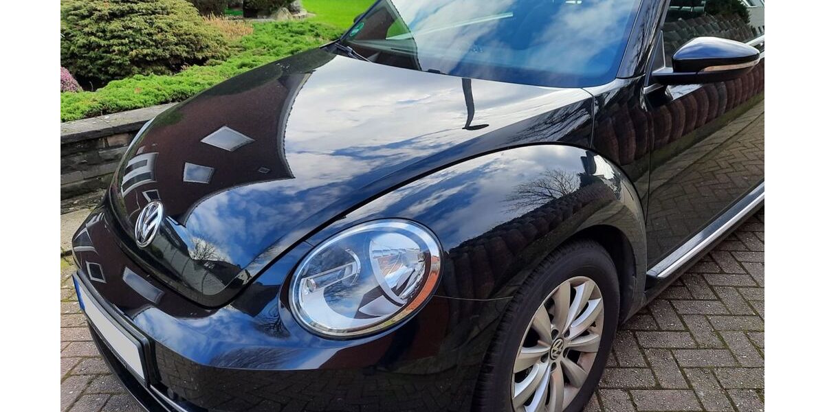 VW Beetle 71.145 km 11.000 &euro; Rheine 48429