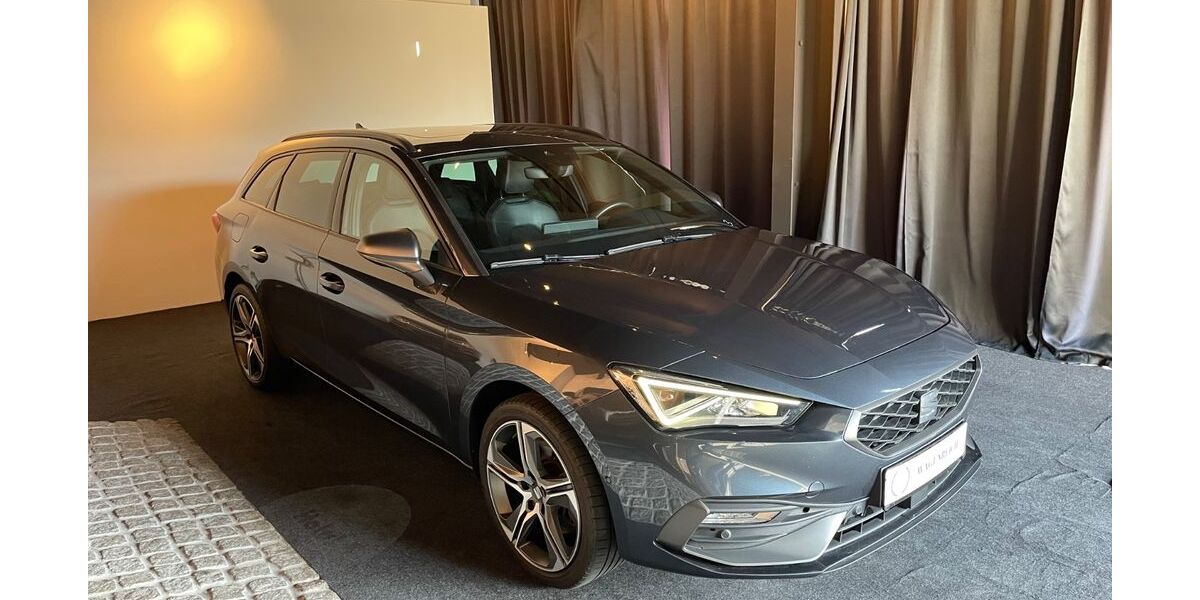 Seat Leon 93.100 km 15.990 &euro; Schapen 48480