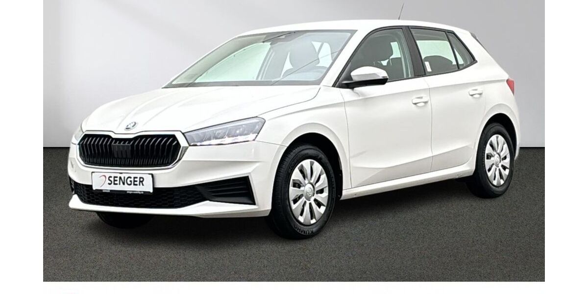 Skoda Fabia 9.870 km 14.880 &euro; Emsdetten 48282