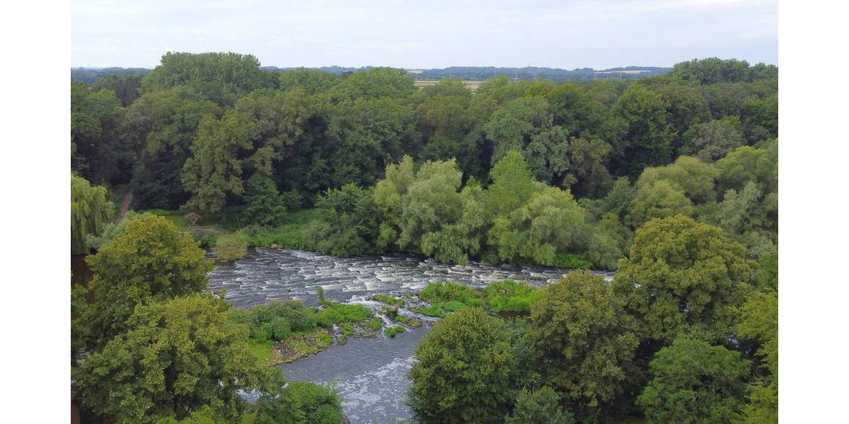 Mehrfamilienhaus, Wohnhaus Emsbüren Listrup - 7 Zimmer, 375 m&sup2;, 1.790.000&euro; | Angebot:25695059