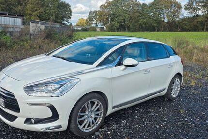 Citroen DS5 153.000 km 8.000 &euro; Ibbenbüren 49479