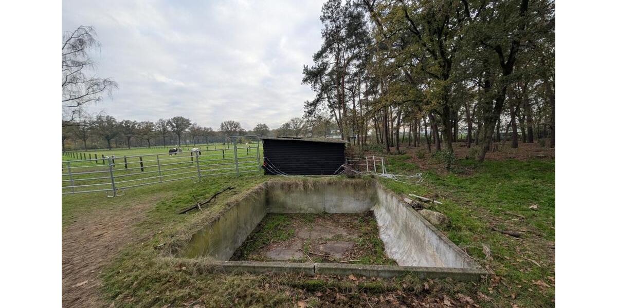 Bauernhaus, Landhaus Gronau (Westfahlen) - 5 Zimmer, 161 m&sup2;, 1.495.000&euro; | Angebot:25353059