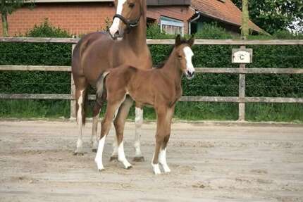 Sonstige Isterberg - 875.000&euro; | Angebot:25370515