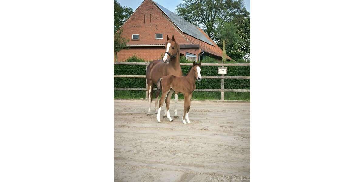 Sonstige Isterberg - 875.000&euro; | Angebot:25370515