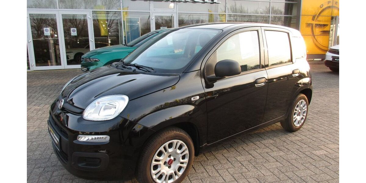 Fiat Panda 36.900 km 8.950 &euro; Lingen - Baccum 49811