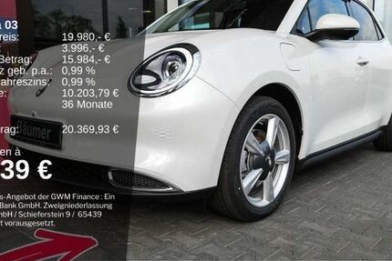 GWM Ora 03 11.249 km 19.980 &euro; Ibbenbüren 49479