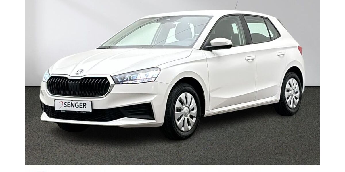Skoda Fabia 33.235 km 17.280 &euro; Emsdetten 48282