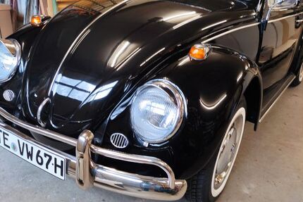 VW Käfer 12.345 km 14.000 &euro; Ladbergen 49549