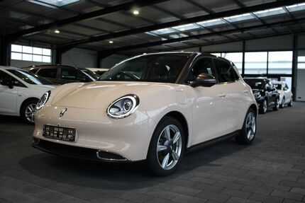 ORA Funky Cat 20.900 km 19.990 &euro; Andervenne 49832