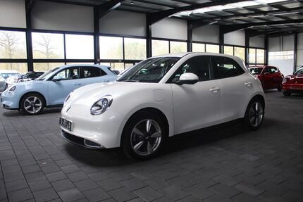 GWM Ora 03 27.300 km 15.490 &euro; Andervenne 49832