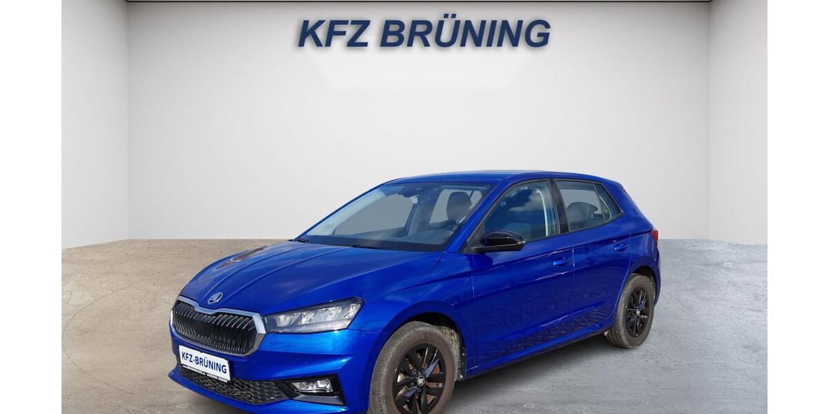 Skoda Fabia 11.508 km 17.480 &euro; Lingen (Ems) 49811