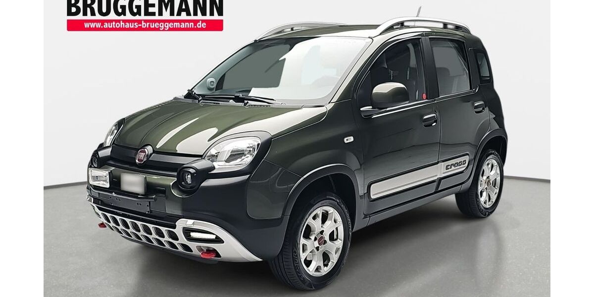 Fiat Panda 79.780 km 12.950 &euro; Rheine 48432