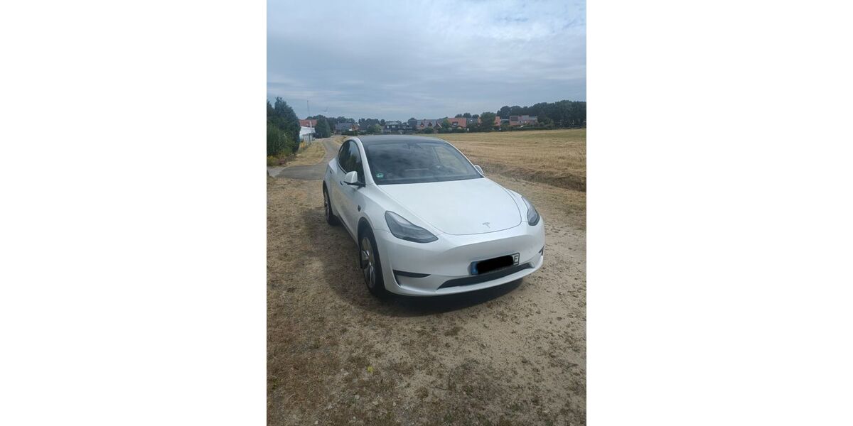 Tesla Model Y 43.669 km 31.500 &euro; Recke 49508