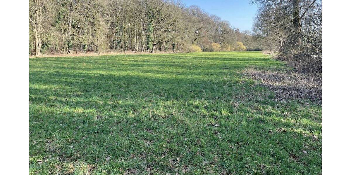 Mehrfamilienhaus, Wohnhaus Rheine Bentlage - 7 Zimmer, 205 m&sup2;, 2.262.000&euro; | Angebot:26015987