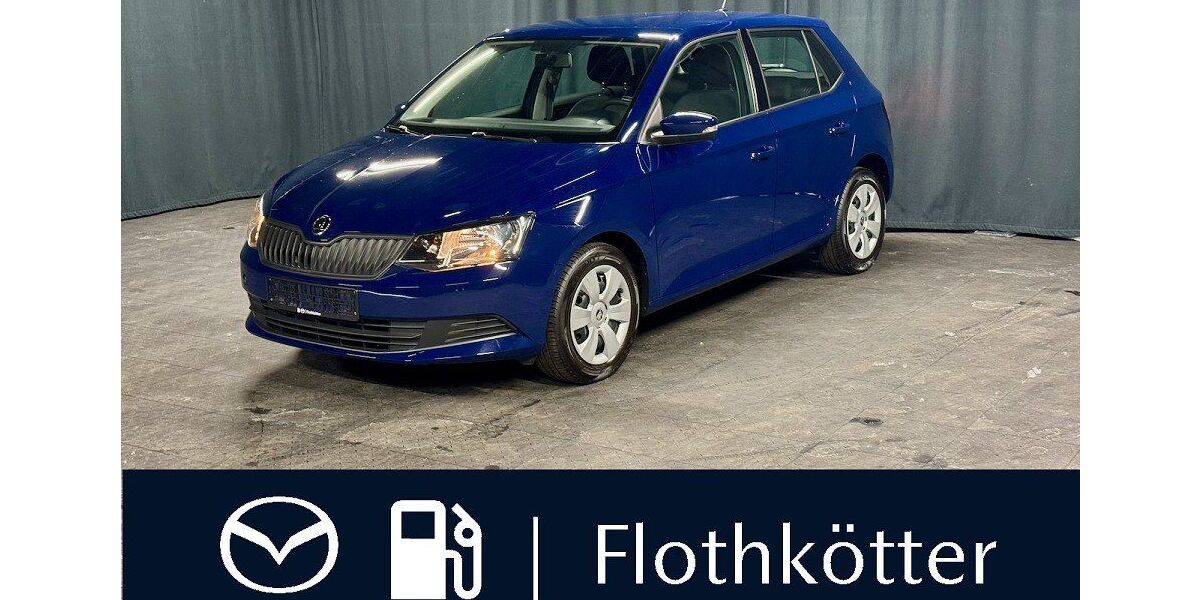 Skoda Fabia 39.956 km 9.500 &euro; Nordwalde 48356