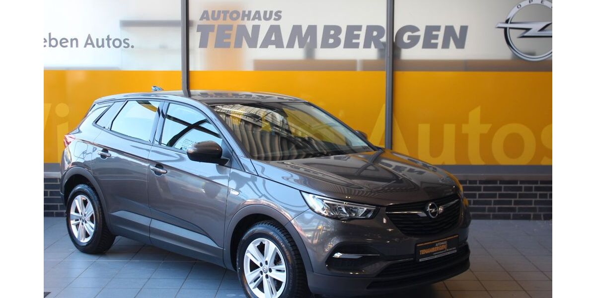 Opel Grandland (X) 33.370 km 19.900 &euro; Mettingen 49497