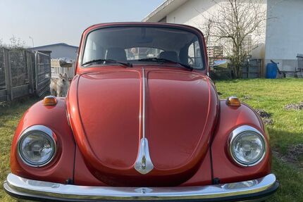 VW Käfer 94.500 km 17.300 &euro; Laer 48366