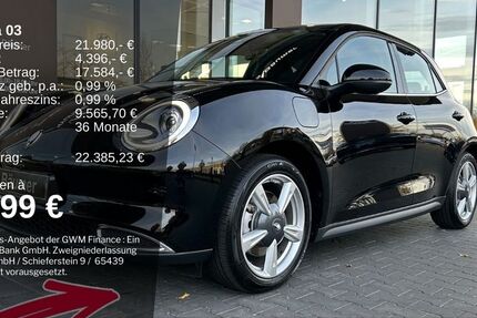 GWM Ora 03 4.968 km 21.980 &euro; Ibbenbüren 49479