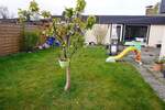 Einfamilienhaus Lingen (Ems) Darme - 5 Zimmer, 144 m&sup2;, 269.000&euro; | Angebot:26153996