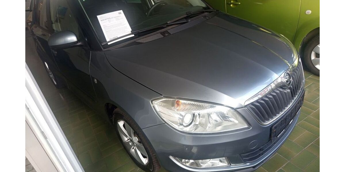 Skoda Fabia 67.883 km 9.990 &euro; Rheine 48432