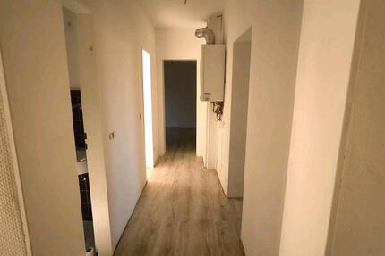 Wohnung Rheine Altenrheine - 3 Zimmer, 70 m&sup2;, 650&euro; | Angebot:25753636