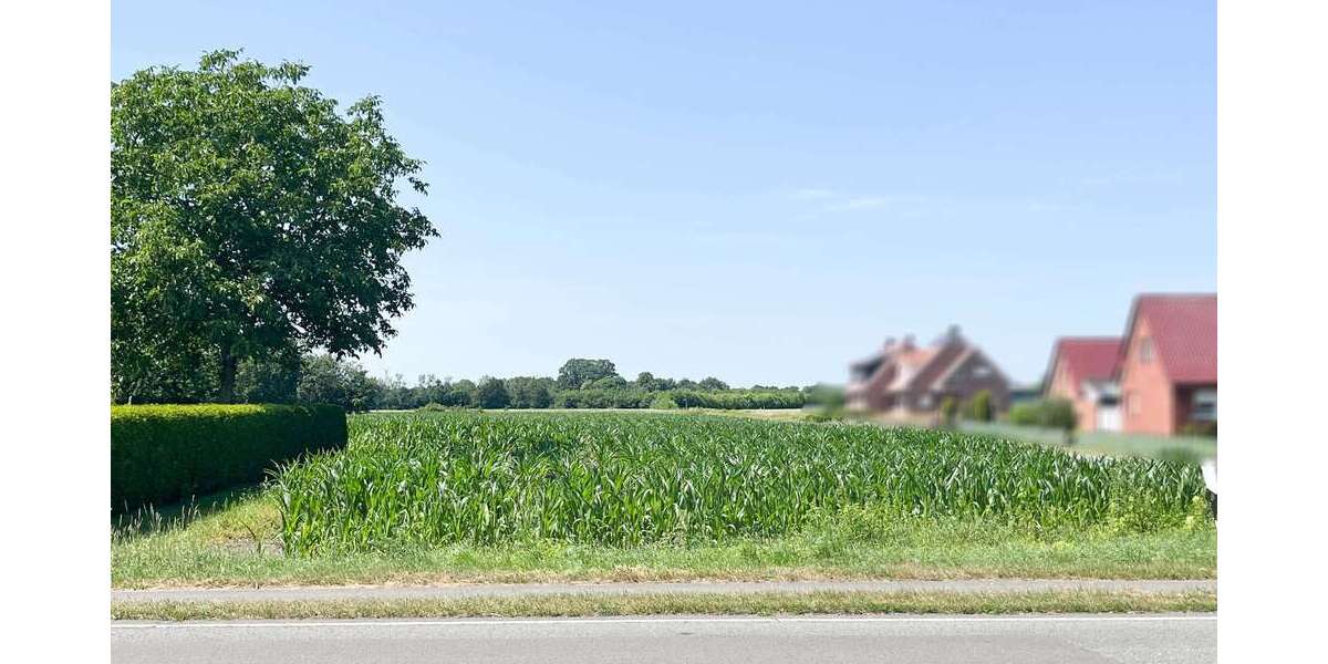 Grundstück Lingen Gauerbach - 99.000&euro; | Angebot:27581084