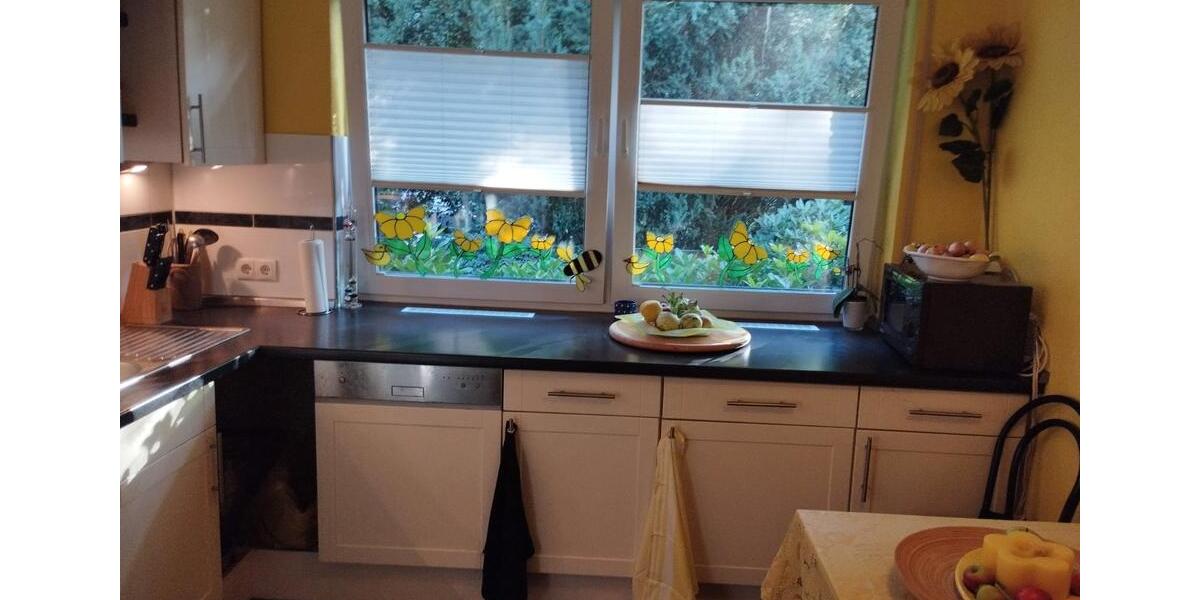 Erdgeschoßwohnung Lingen (Ems) - 1 Zimmer, 73 m&sup2;, 700&euro; | Angebot:27541557