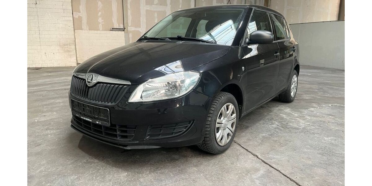 Skoda Fabia 79.047 km 4.930 &euro; Hörstel 48477