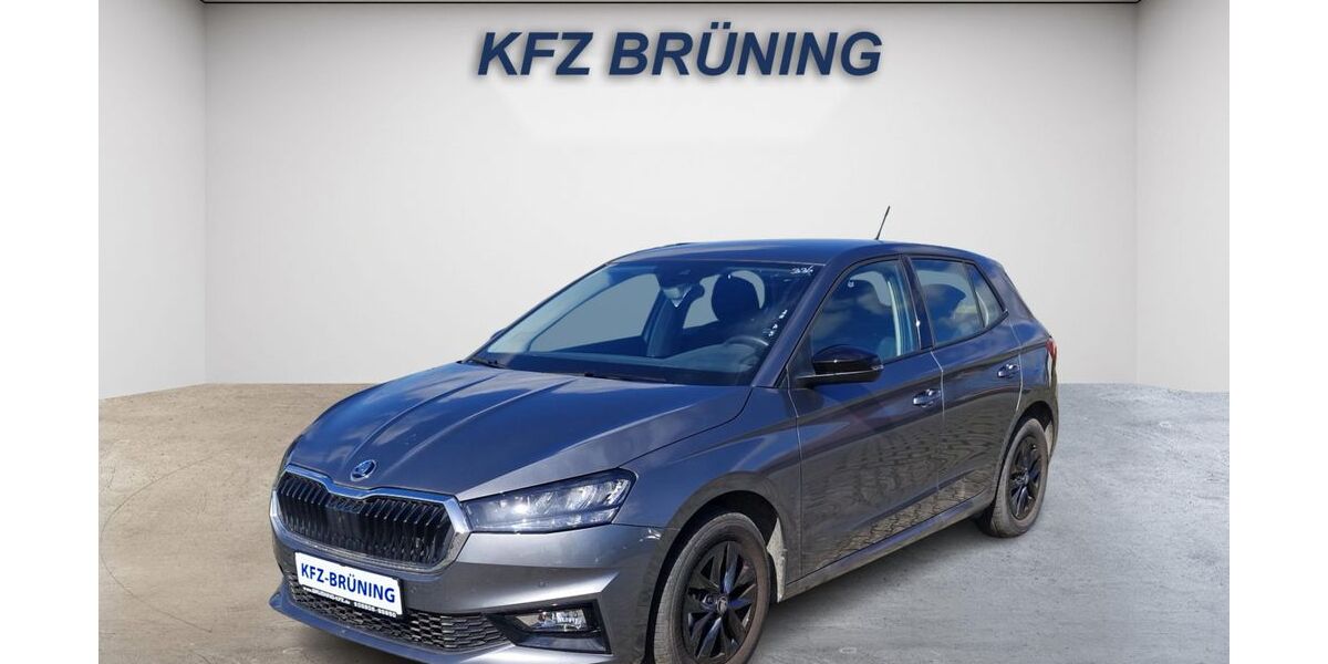 Skoda Fabia 19.245 km 17.580 &euro; Lingen (Ems) 49811