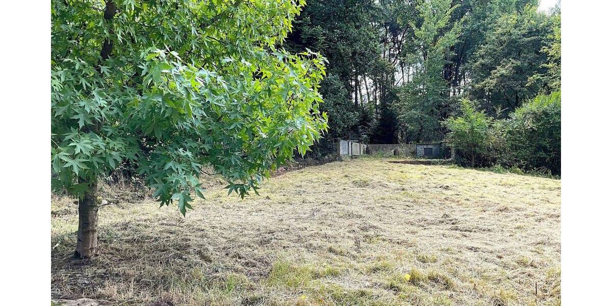 Bauernhaus, Landhaus Hörstel Riesenbeck - 1 Zimmer, 414 m&sup2;, 580.000&euro; | Angebot:25865289