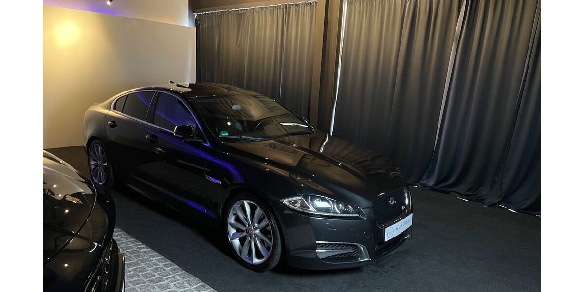 Jaguar XF 141.000 km 19.900 &euro; Schapen 48480