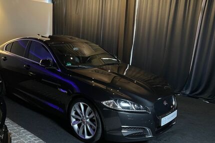 Jaguar XF 141.000 km 19.900 &euro; Schapen 48480