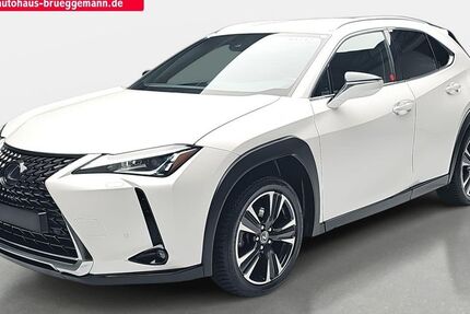 Lexus UX 88.760 km 19.490 &euro; Rheine 48432