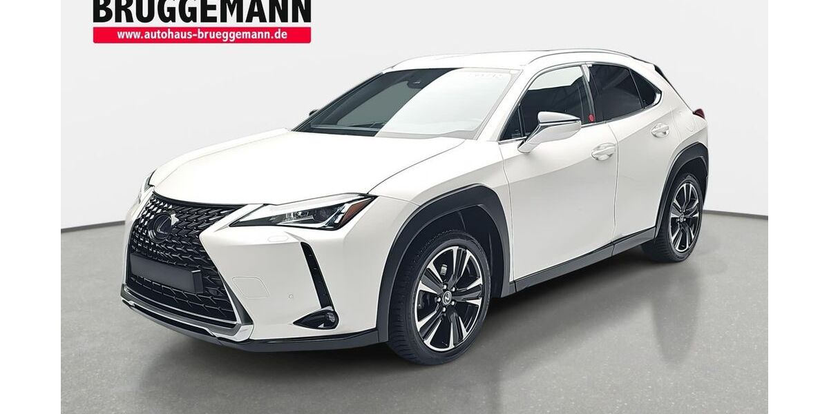Lexus UX 88.760 km 19.490 &euro; Rheine 48432