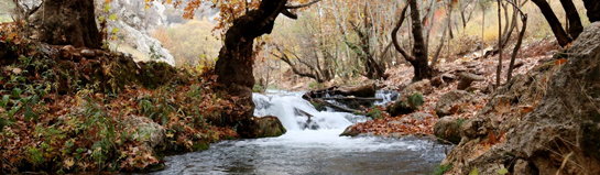 Aqua Reni Erlebnisbad Rheine Hallenbad Wellness