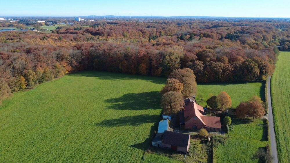 Mehrfamilienhaus, Wohnhaus Rheine Bentlage - 7 Zimmer, 205 m&sup2;, 2.262.000&euro; | Angebot:26015987