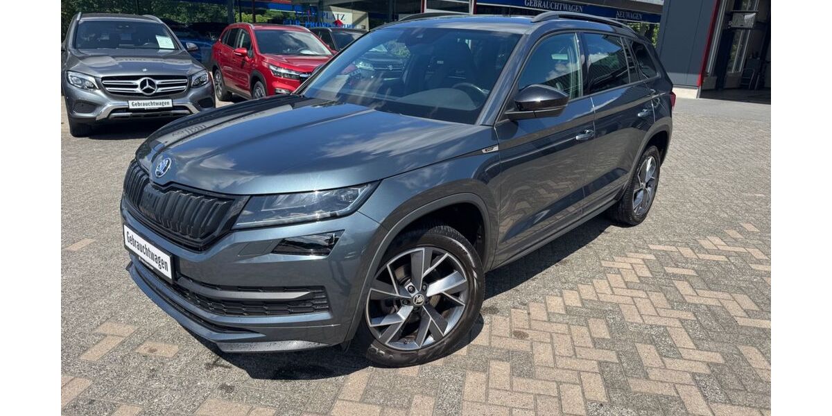 Skoda Kodiaq 116.264 km 24.290 &euro; Isterberg 48465