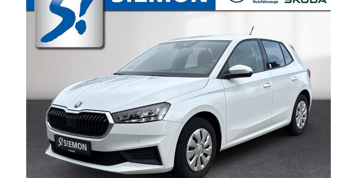 Skoda Fabia 72.590 km 16.930 &euro; Lengerich 49525